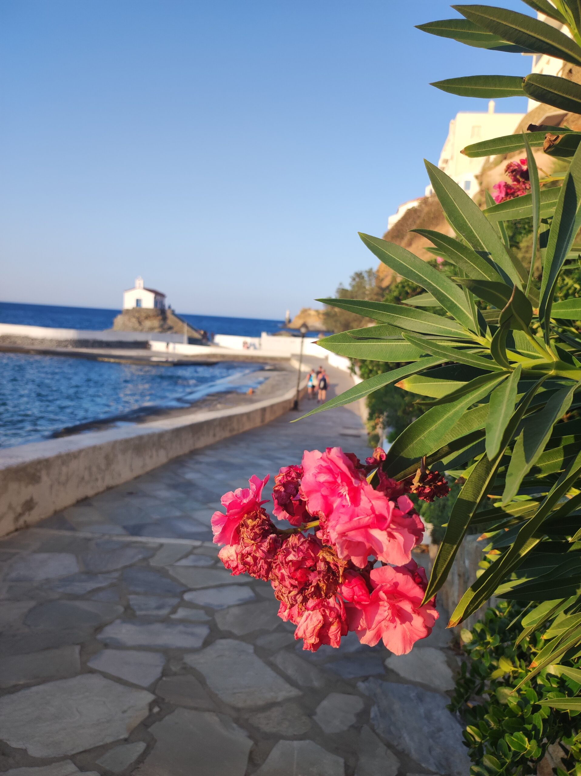 Περπατώντας προς την Παναγιά Θαλασσινή, Άνδρος