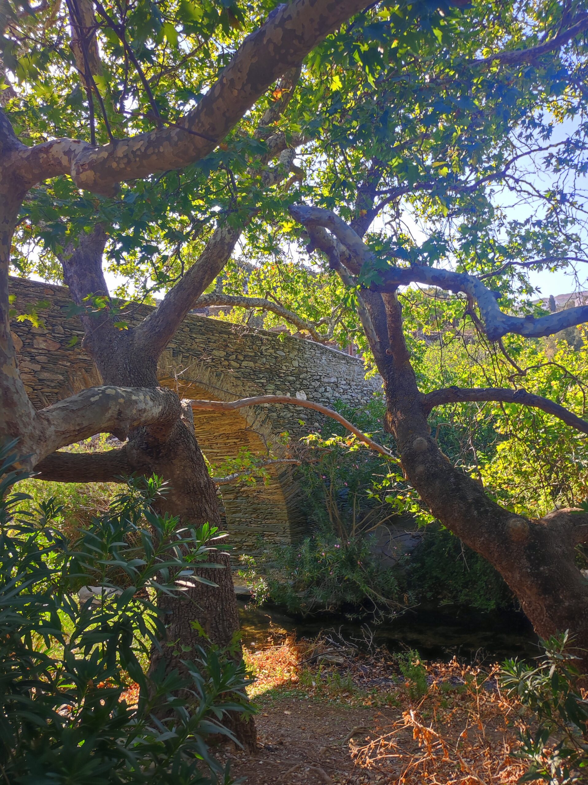Φύση Άνδρου