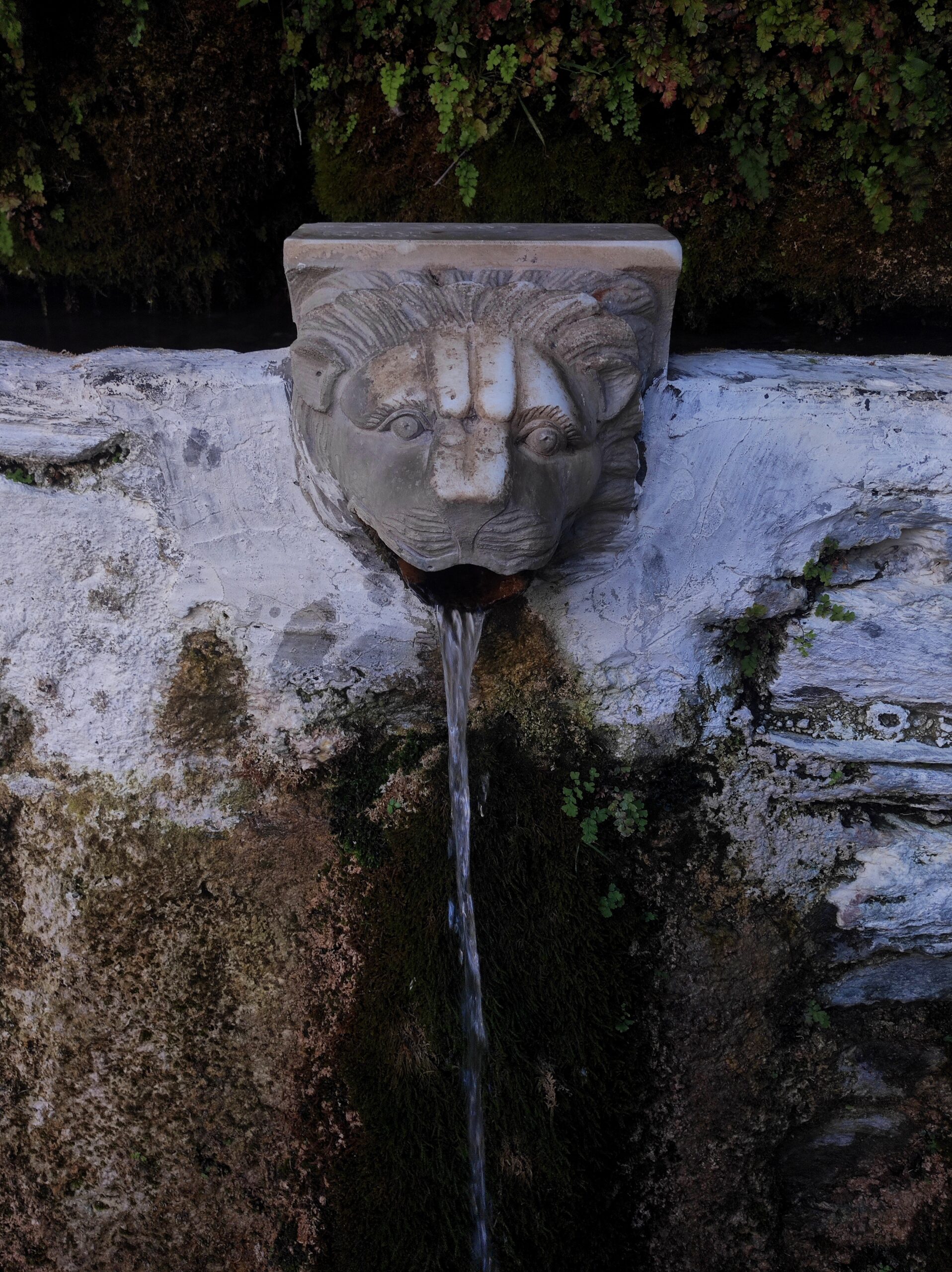 Πηγές Μενήτων