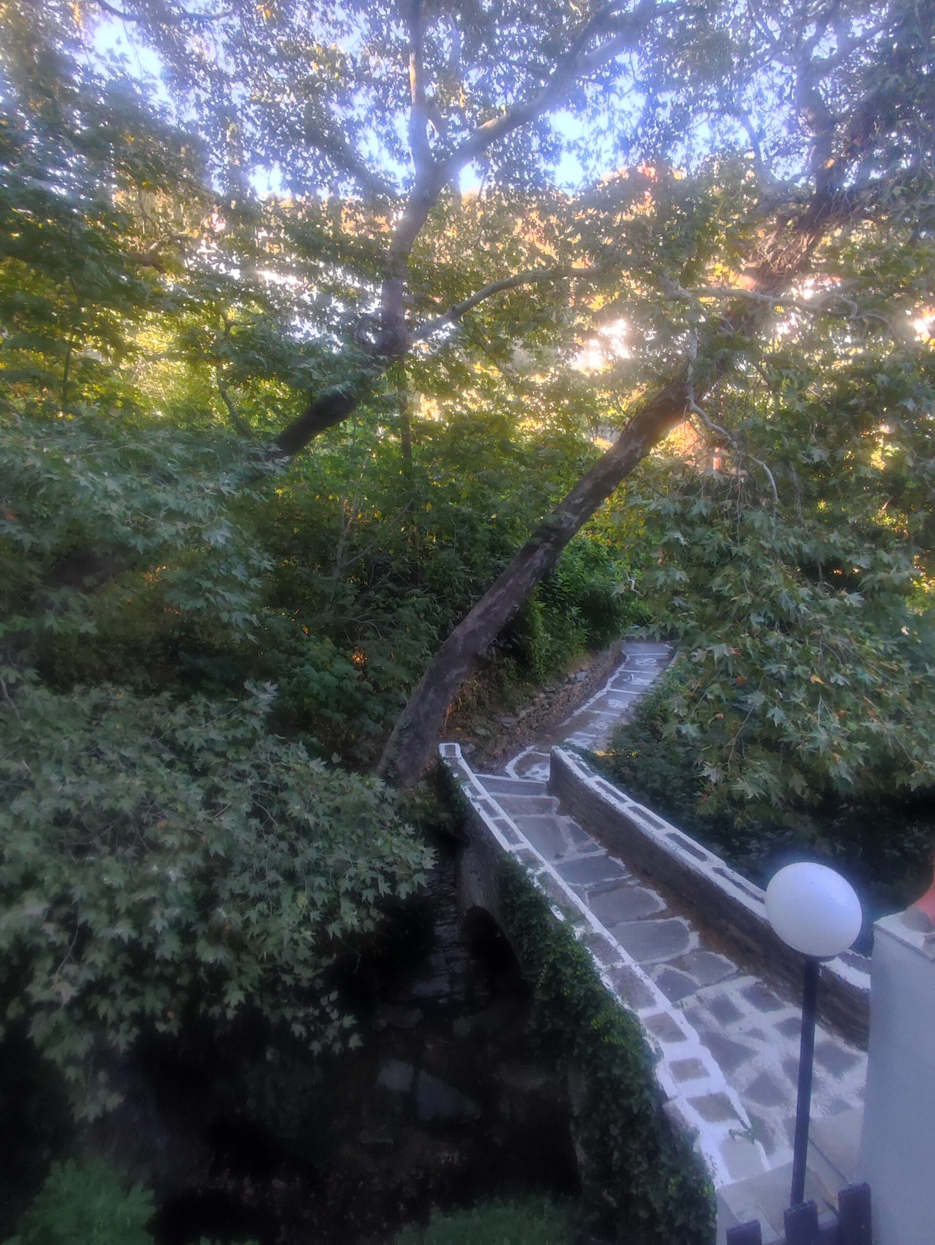 Αιωνόβια πλατάνια, καρυδιές, πυκνή βλάστηση και νερά 