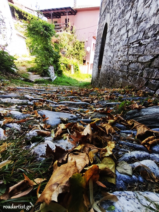 Μονοπάτια Πηλίου