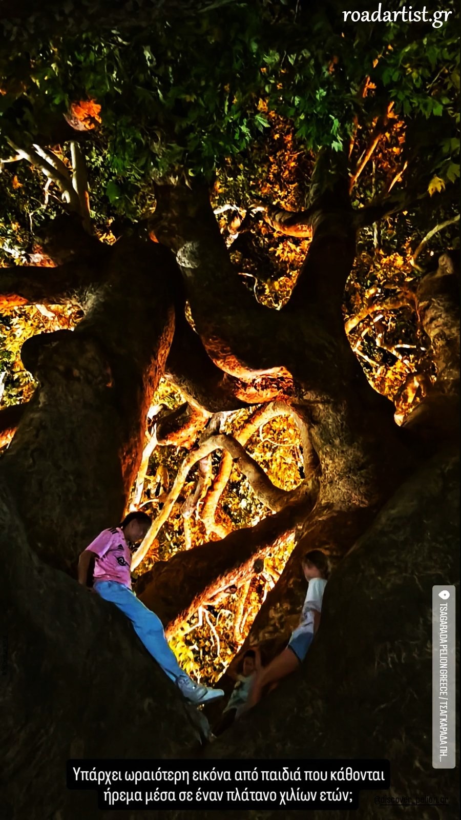 Ο πλάτανος της Πλατείας της Αγίας Παρασκευής, στην Τσαγκαράδα