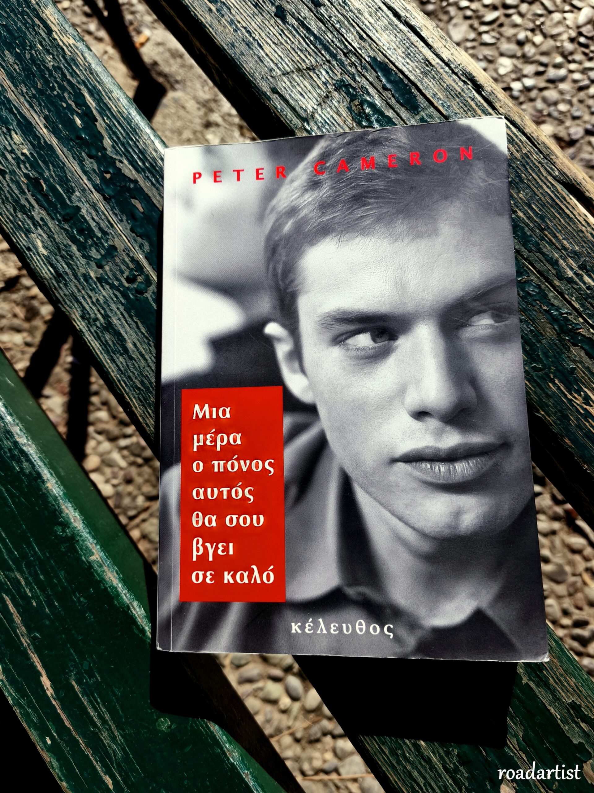 Μια μέρα ο πόνος αυτός θα σου βγει σε καλό, Peter Cameron, Κέλευθος
