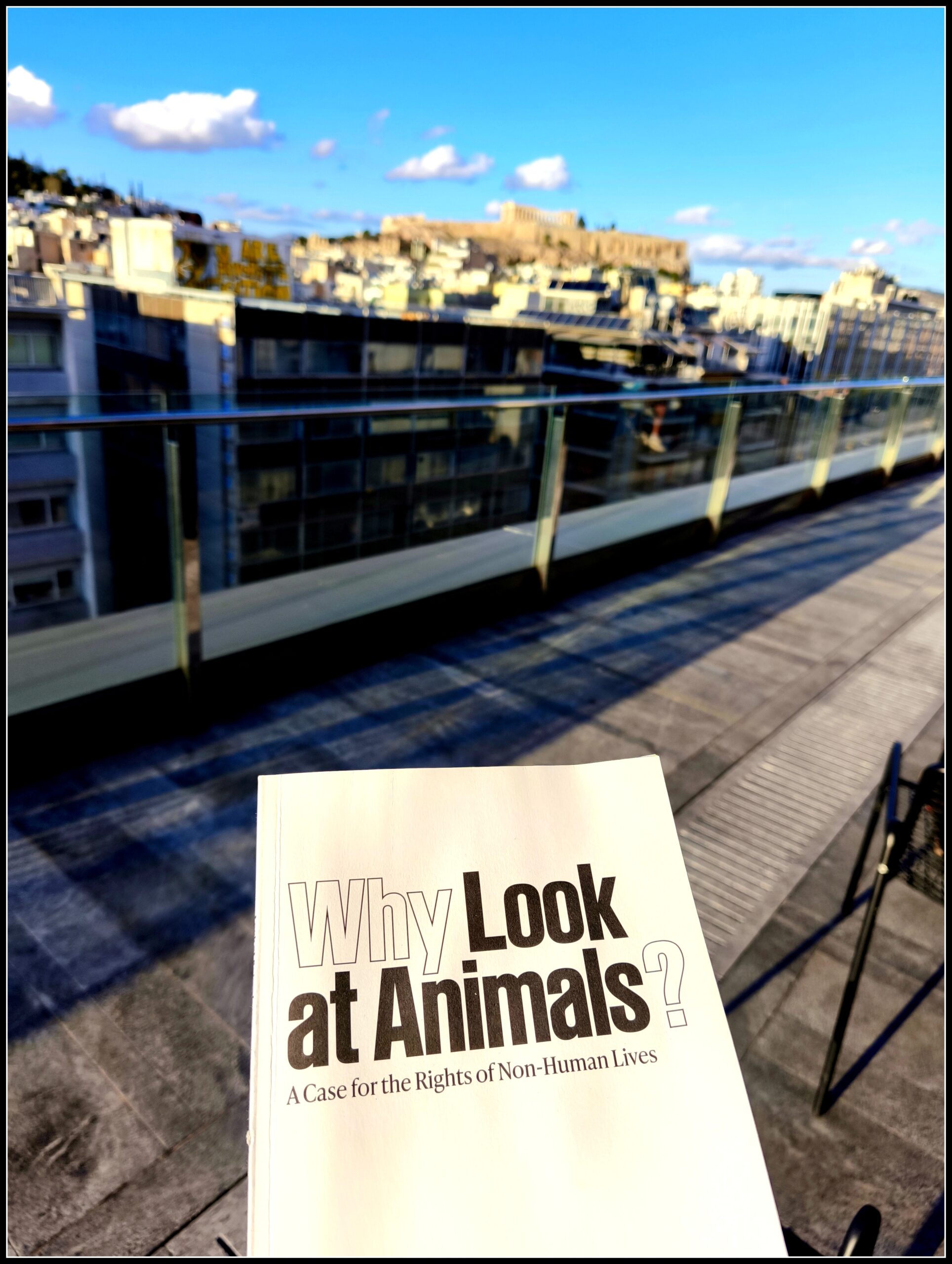 Στην ταράτσα του ΕΜΣΤ