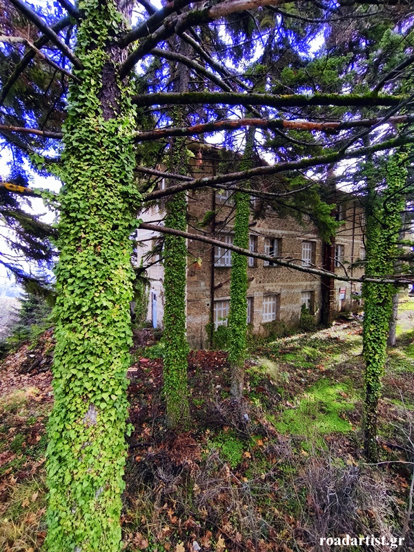 Πίσω από τα ψηλά δέντρα, Άνω Τρίκαλα Κορινθίας