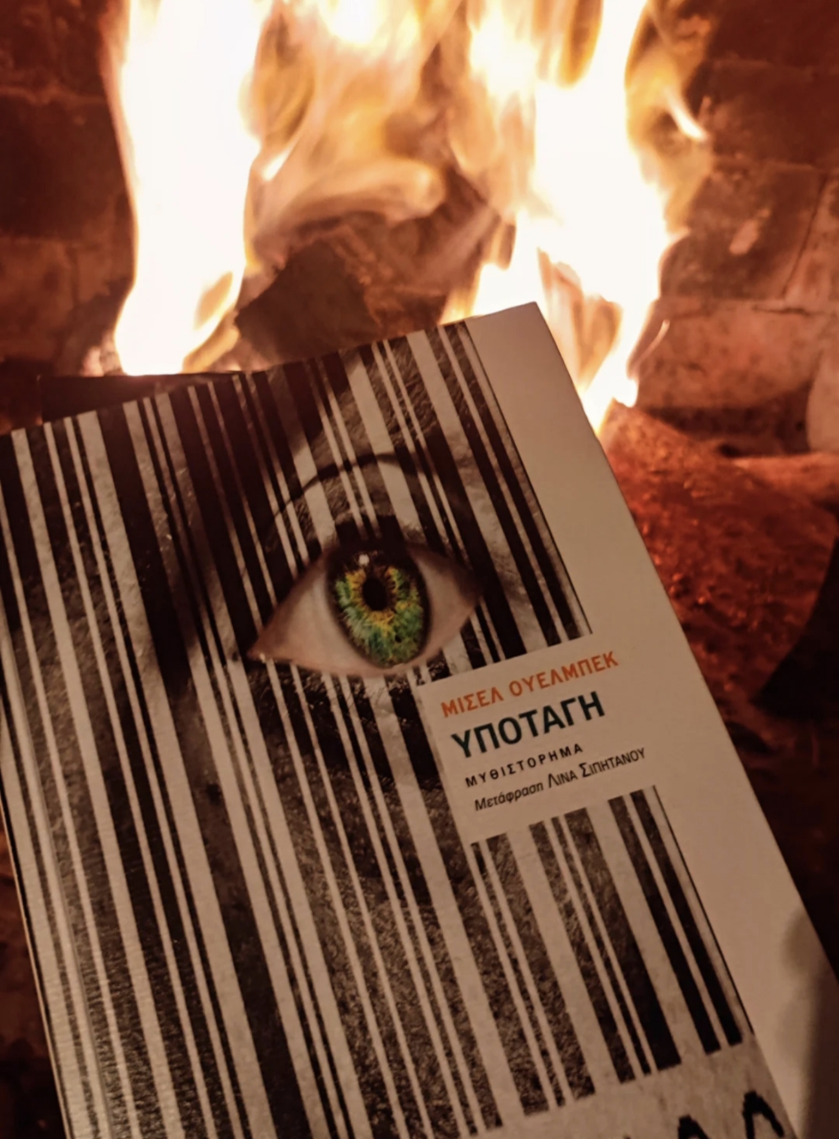 Μισελ Ουελμπέκ, Υποταγή