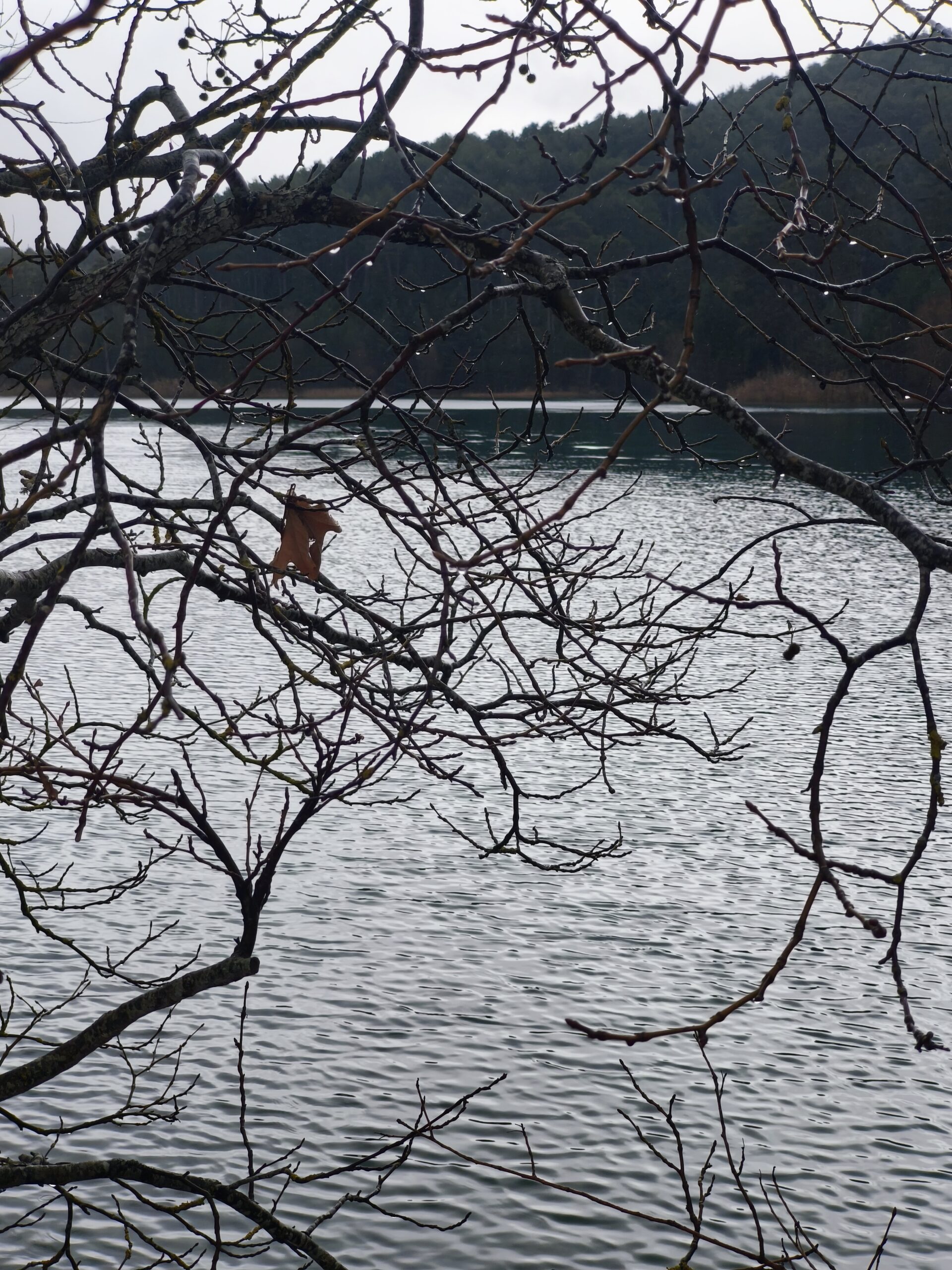 Χειμώνας στη Λίμνη Δόξα