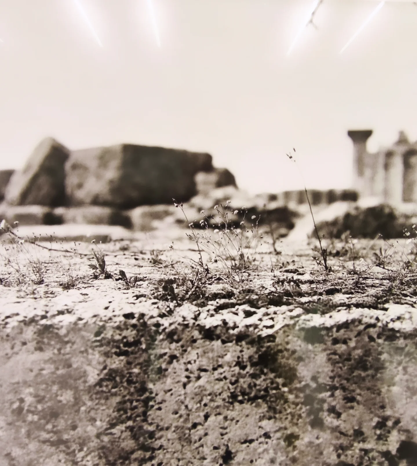 Η Ελλάδα μέσα από το φακό του Γ. Λάνθιμου