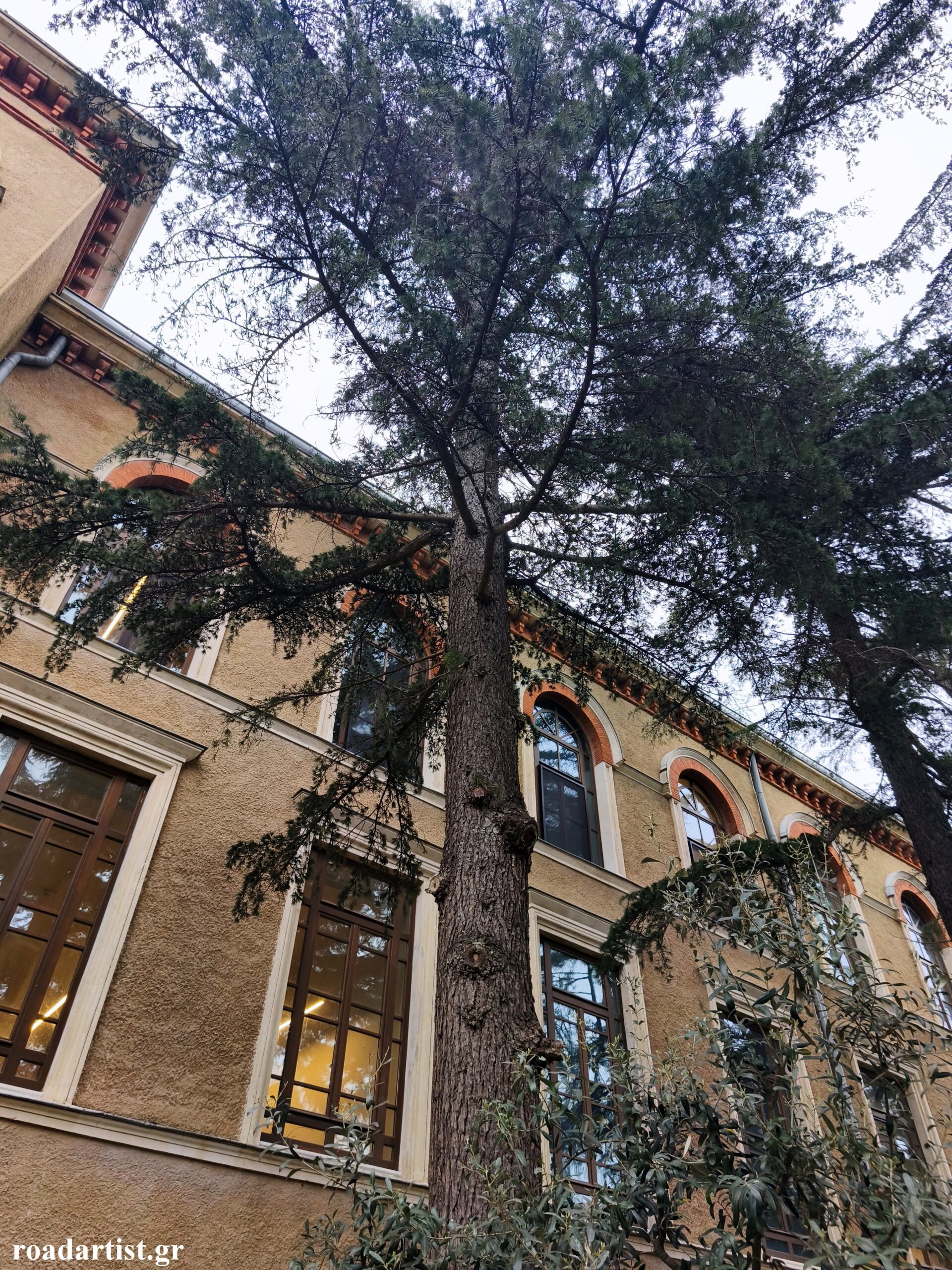 Ιερά Θεολογική Σχολή της Χάλκης